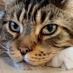 Meet your Posher, Becky